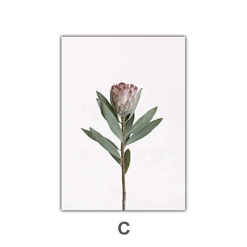 Minimalistische Pinke Florale Botanische Wandkunst Feine Kunstleinwanddrucke Posten Elegante Bilder Für Nordic Wohnzimmer Esszimmer Schlafzimmer Kunst Dekor | Brehn