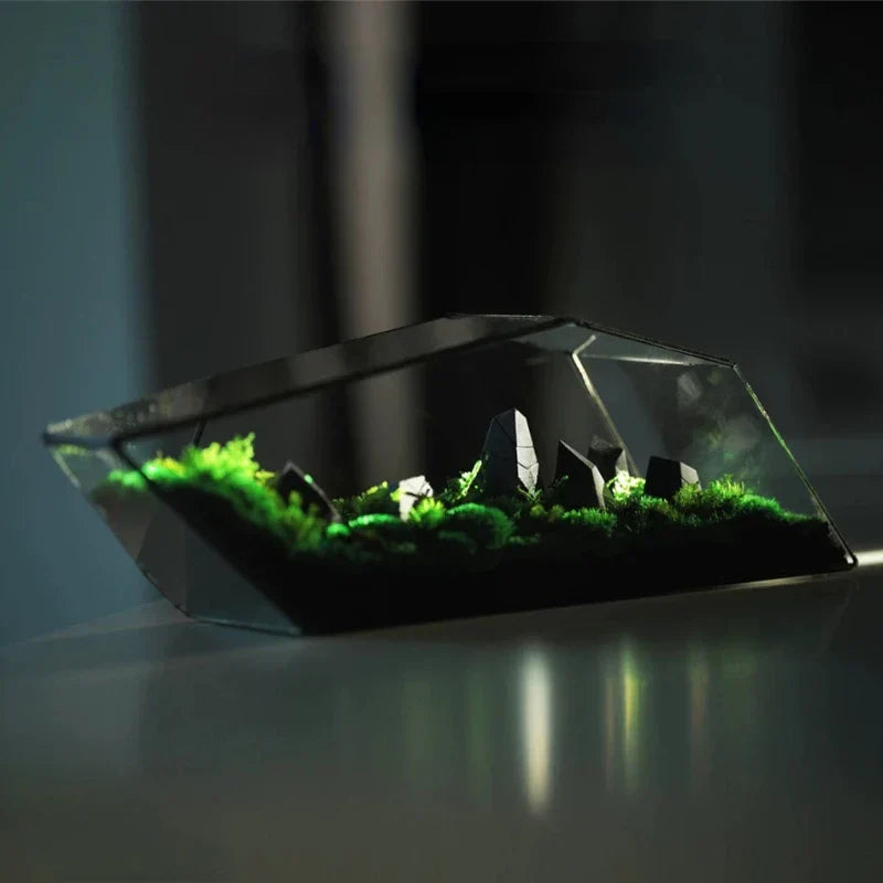 Geometrischer Glasmoos-Planter-Terrarium-Vase | Brehn