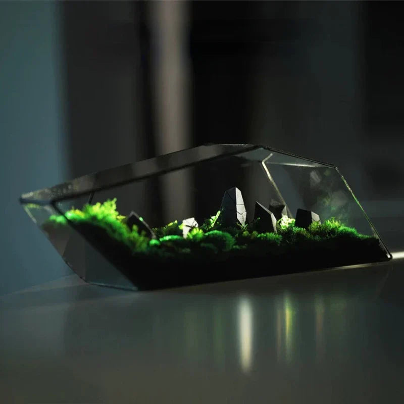 Geometrischer Glasmoos-Pflanzer Terrarium-Vase