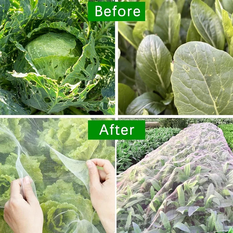 Brehn | Naturaviso Gartennetz Insektenschutz | UV-beständig & Reißfest | Pflanzenschutznetz gegen Schädlinge & Vögel