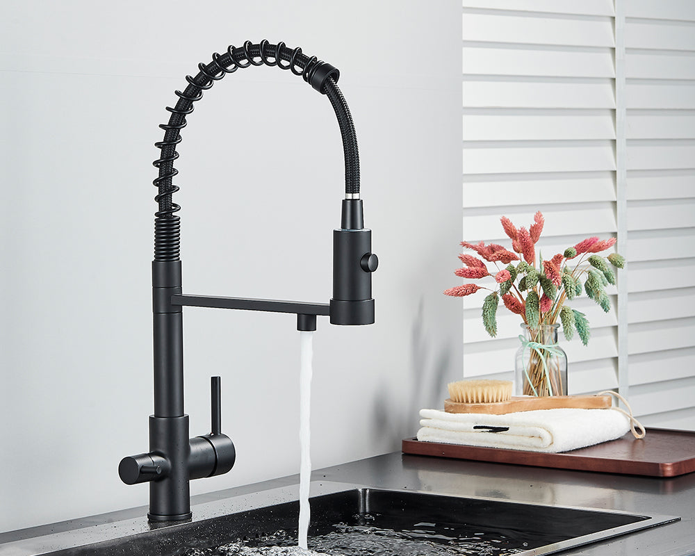 Sandsberg Schwarzer Filter-Küchenwasserhahn mit Dual-Auslauf – Mischbatterie mit Wasserfilter für Küchen, Wasseraufbereitung und Reinigung | Brehn
