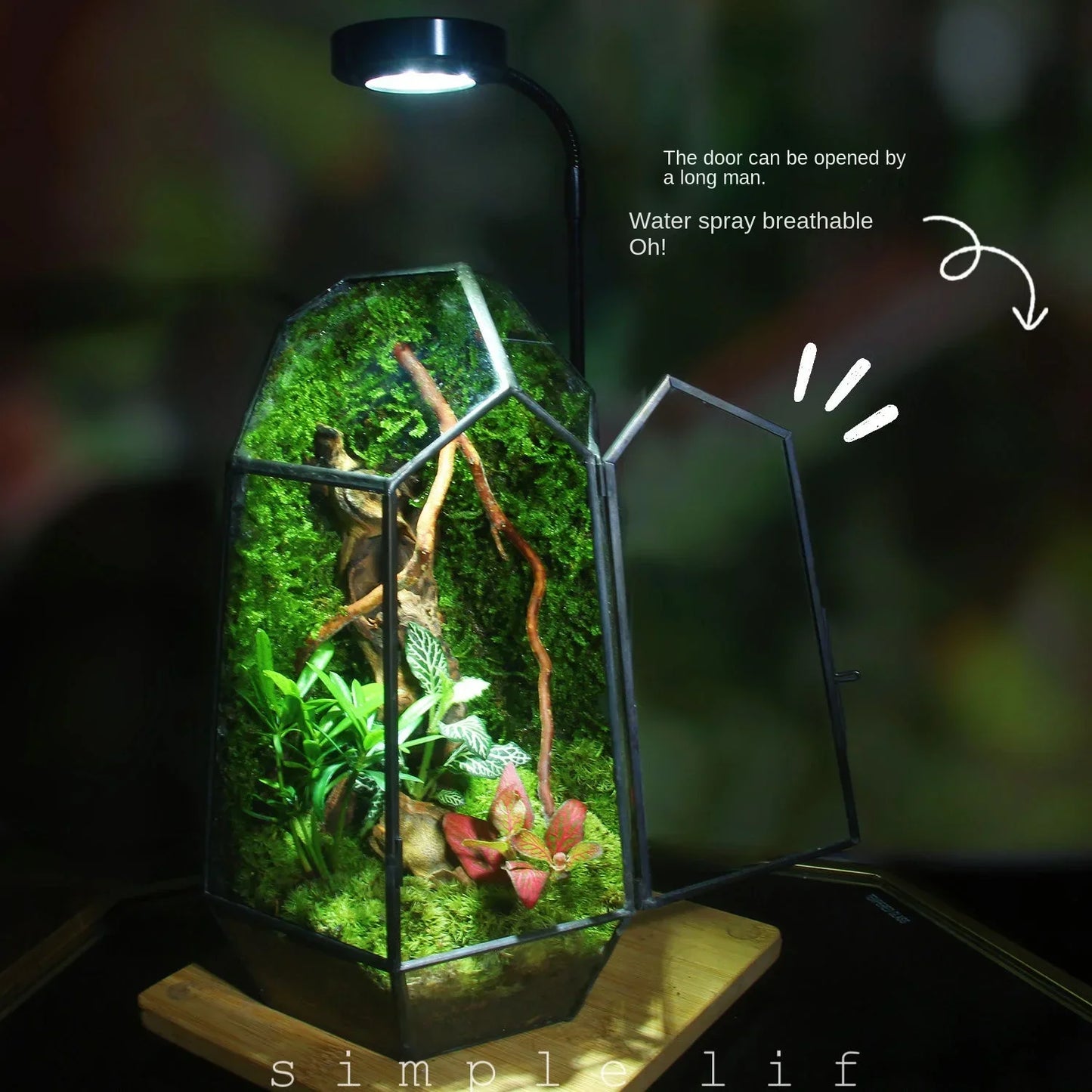 Moderner geometrischer naturinspirierter botanischer Terrarium | Brehn