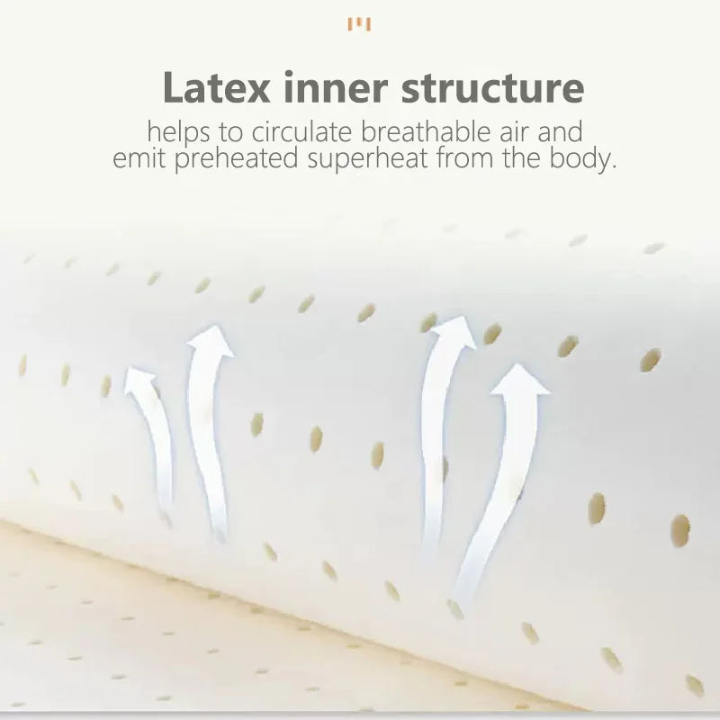 Brehn | Ultra Cooler Latex Waschbarer Bequemer Lese Rückenpolster