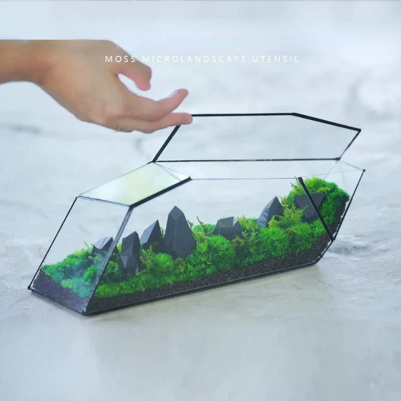 Geometric Glass Moss Planter Terrarium Vase | Brehn