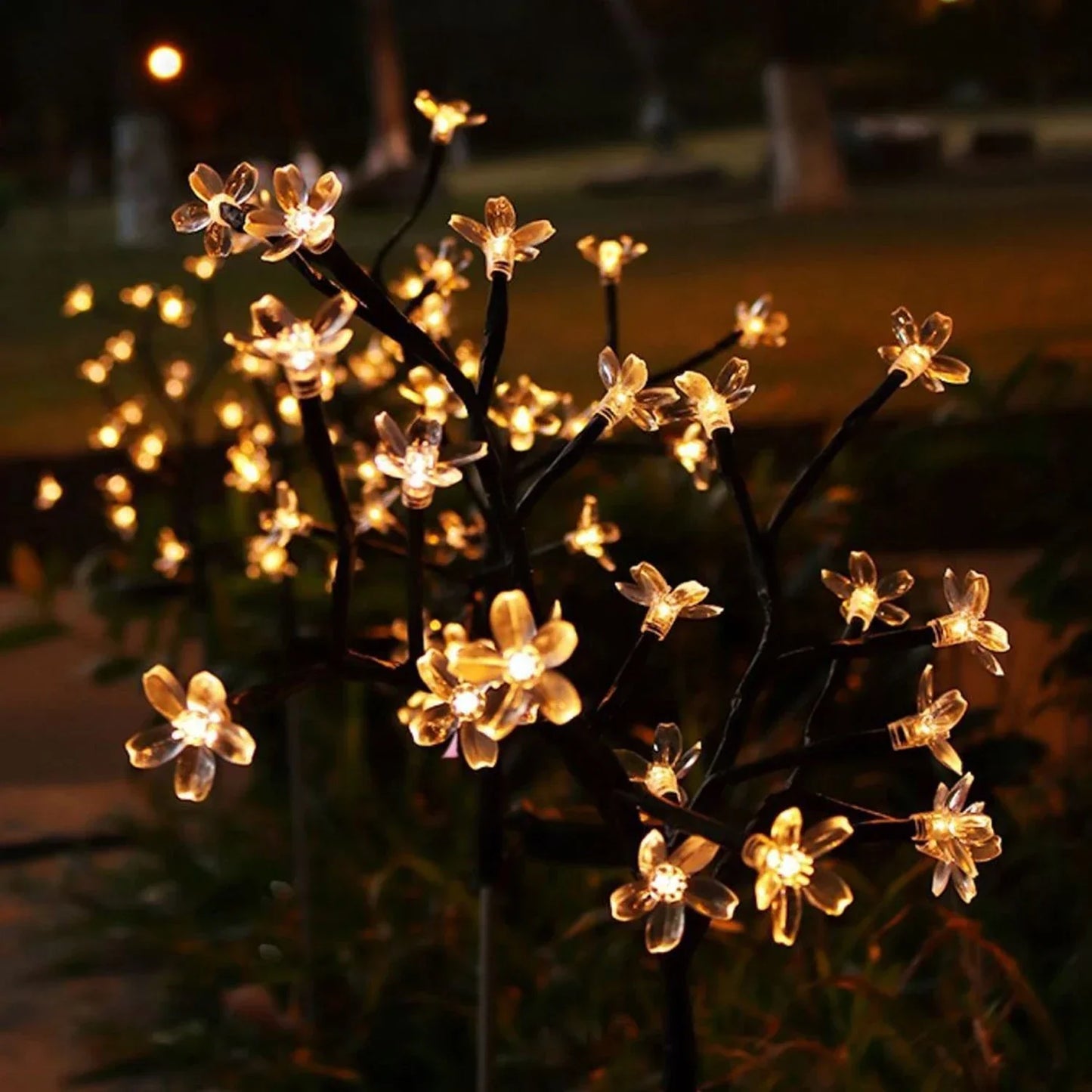 Sakura Baum Solarblumenweg Außenlichter | Brehn