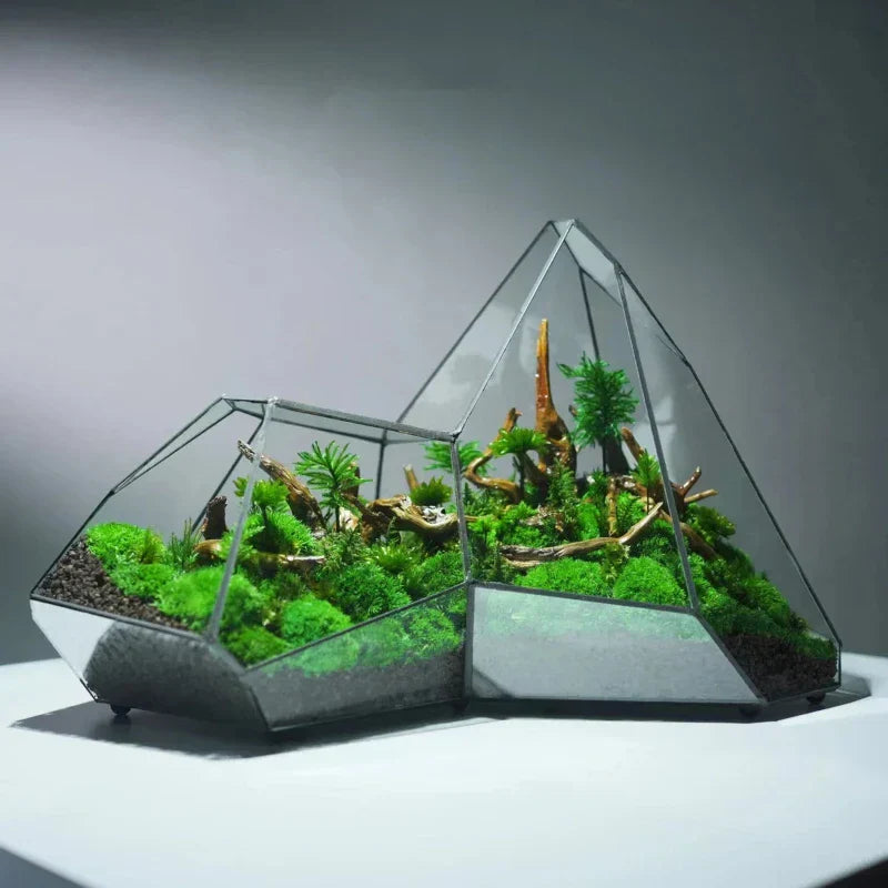 Geometrischer Glasmoos-Pflanzer Terrarium-Vase
