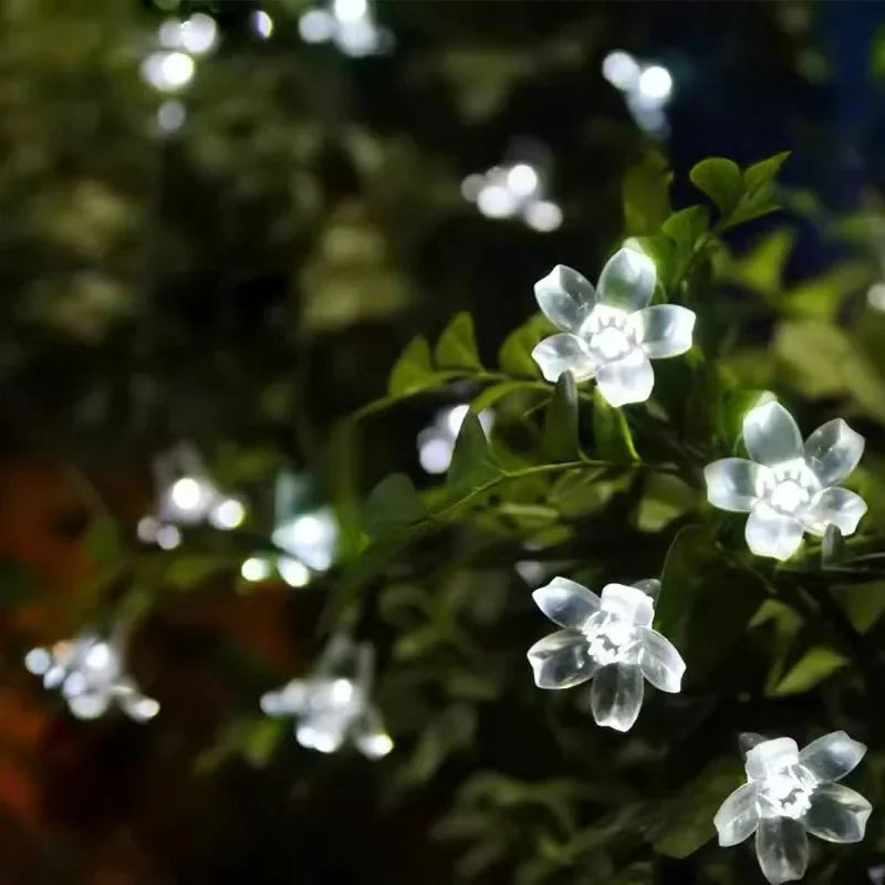 Brehn | LuxeLumen Gartenblume | Elegante solarbetriebene Beleuchtung für einen bezaubernden Garten