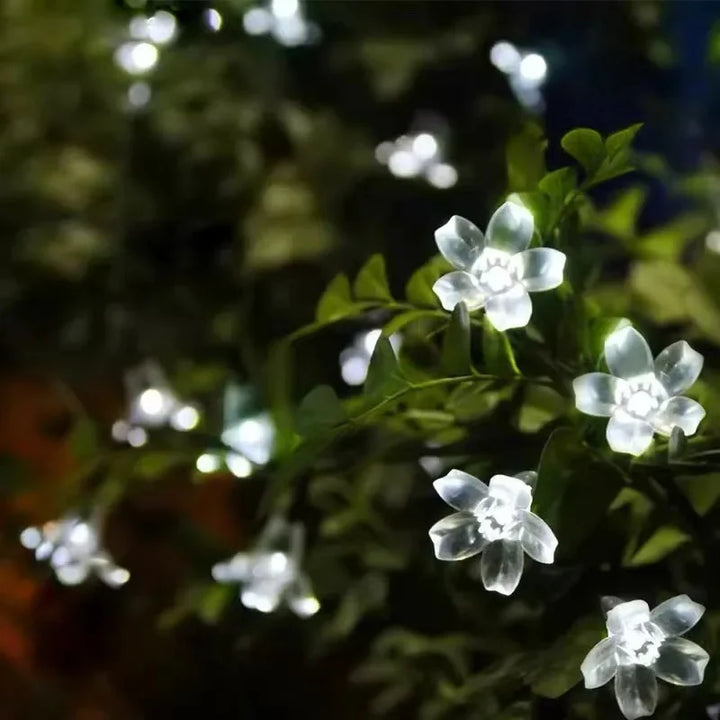 Solarbetriebene Blumen-Gartenlichter für bezaubernde Außenatmosphäre