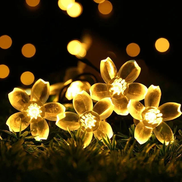 Pfirsichblüten-Lichterkette