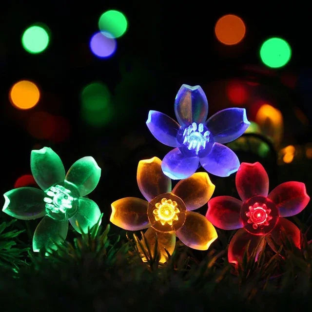 Pfirsichblüten-Lichterkette