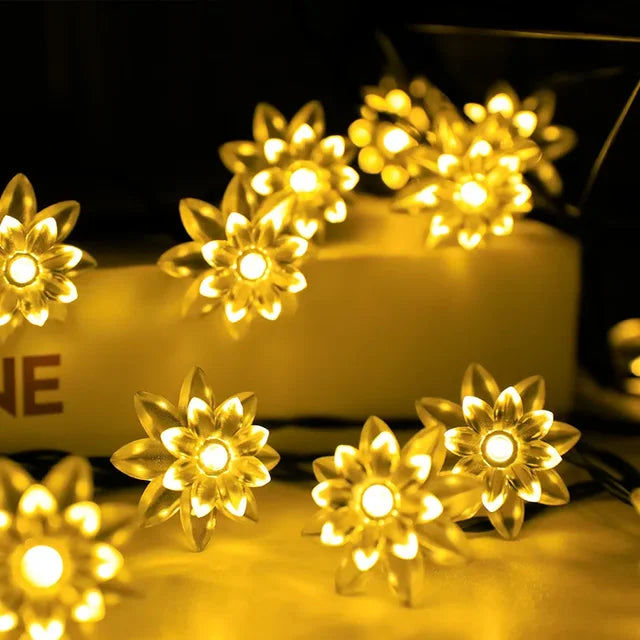 Pfirsichblüten-Lichterkette