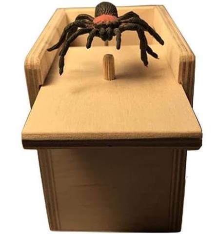 Spider Prank Box | Brehn