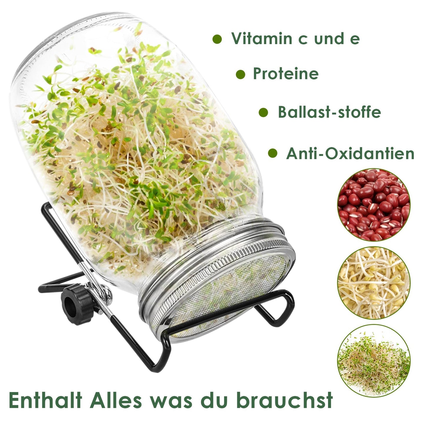 Sprossenglas Keimglas 2er mit Deckel & Sieb 950ML | Brehn
