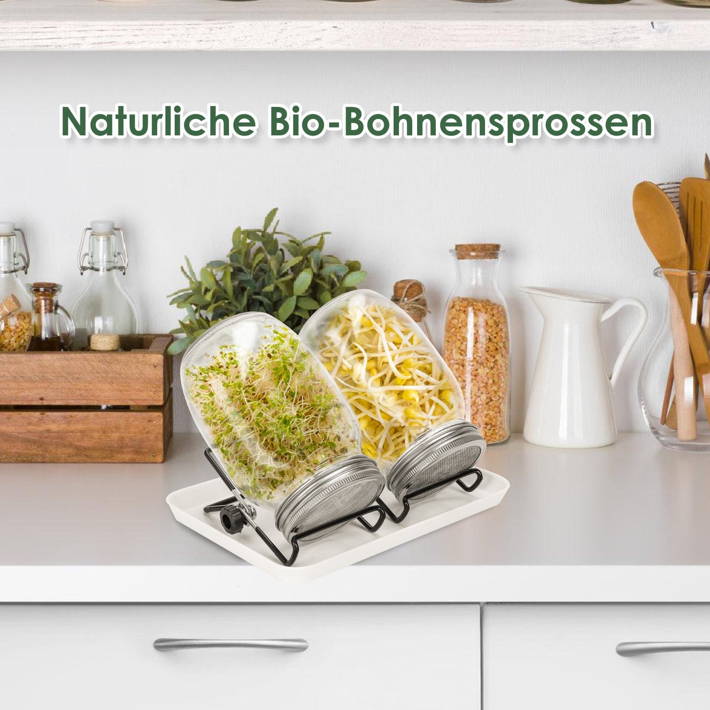 Sprossenglas Keimglas 2er mit Deckel & Sieb 950ML | Brehn
