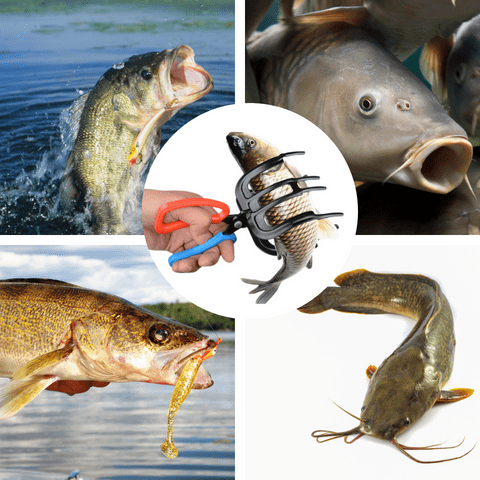 Brehn | eine Anglerzange Metall Fischkontrolle
