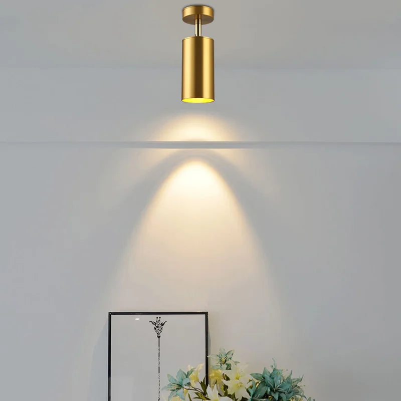 Moderne drehbare LED-Deckenleuchte aus Gold – Verstellbare Beleuchtung für Wohn- und Arbeitsbereiche | Brehn