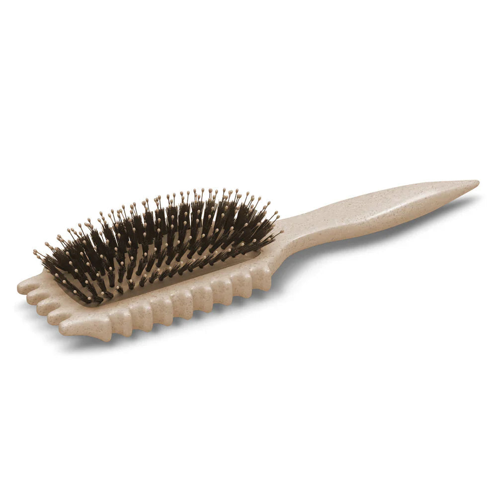 Brehn | CurlDefine Entwirrungsbürste mit Frizz-Präventionsfunktion