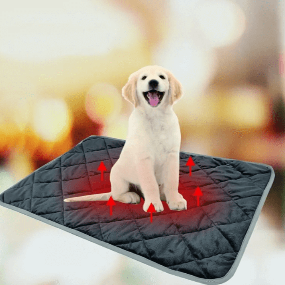 ToastyPaws Hund Selbstheizendes Kissen