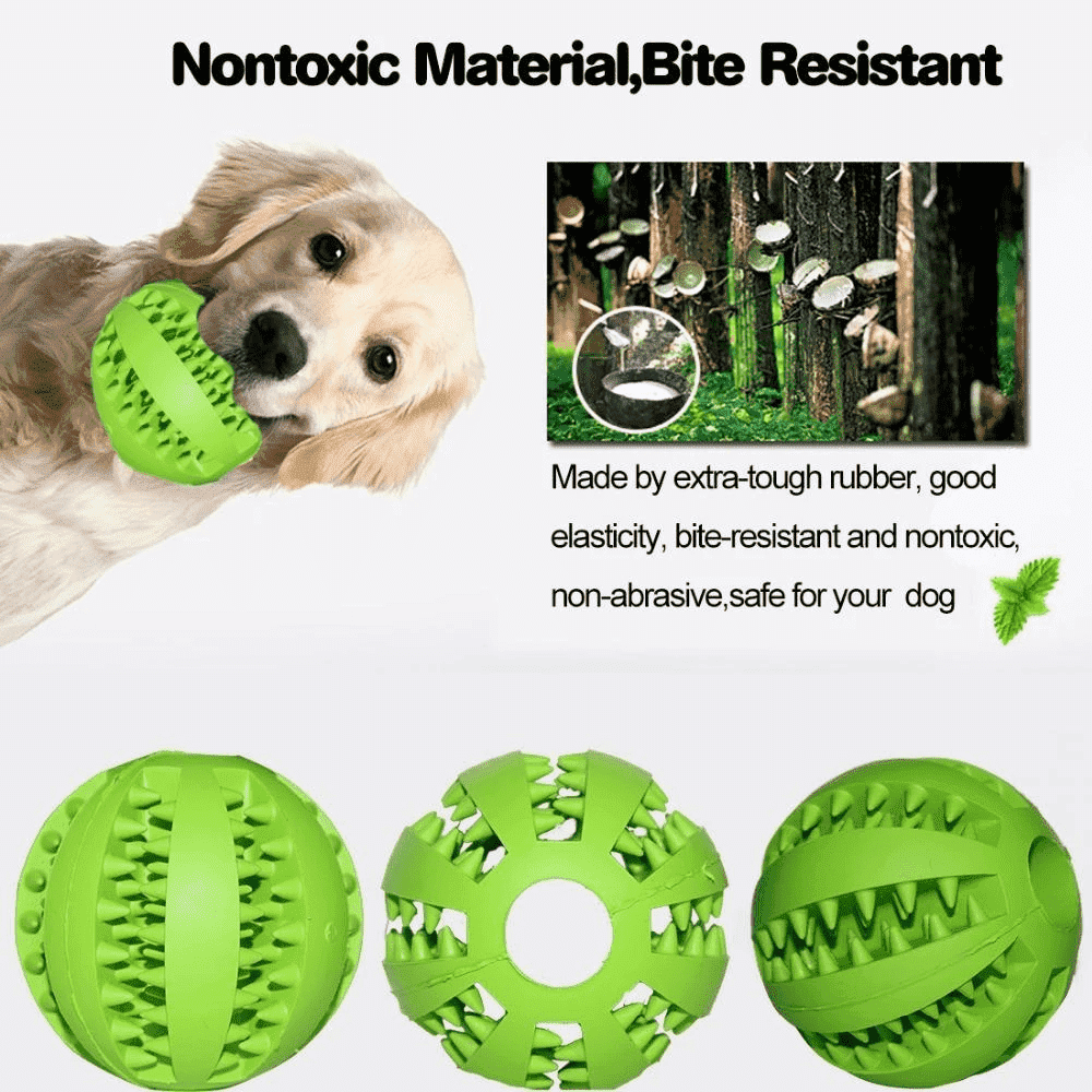 Zahnreinigender Hundefutterspender Spielzeug | Brehn