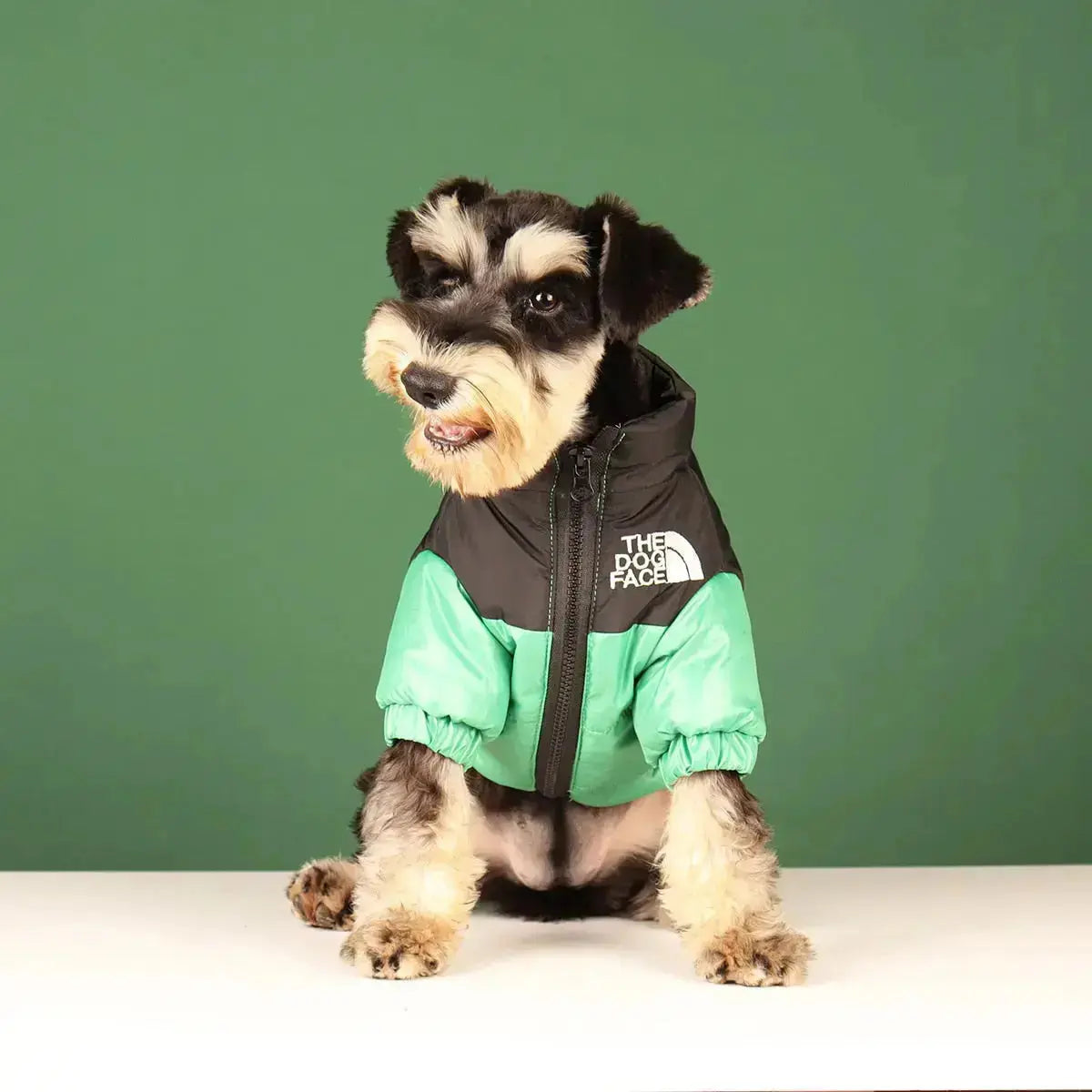 Die Hundegesicht Jacke - Typ A