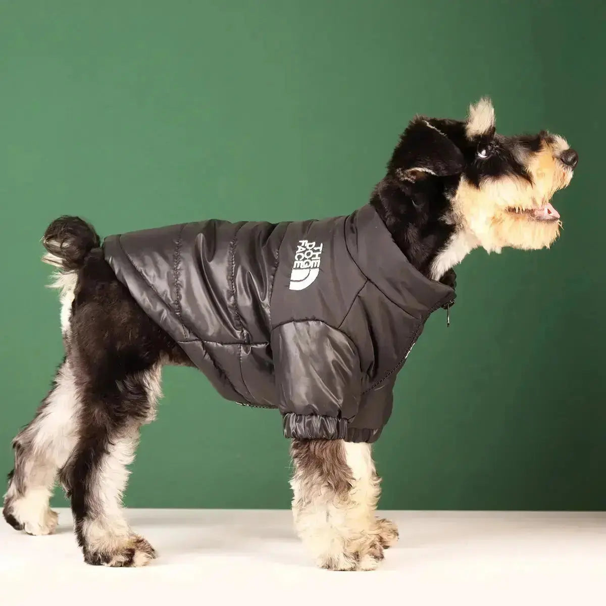 Die Hundegesicht Jacke - Typ A