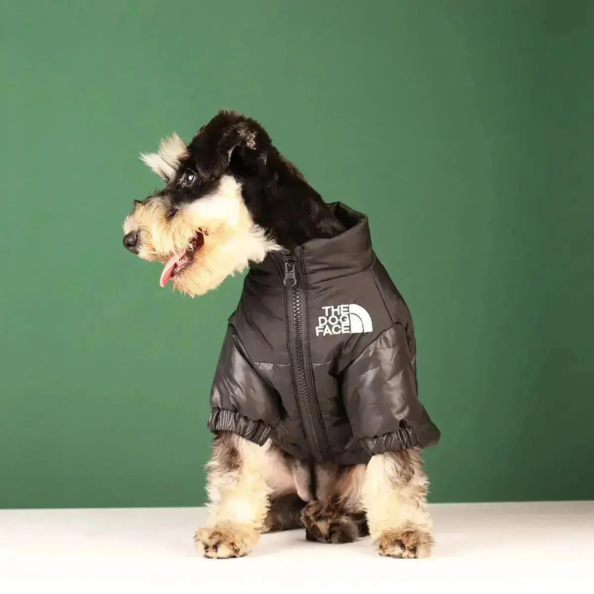 Die Hundegesicht Jacke - Typ A