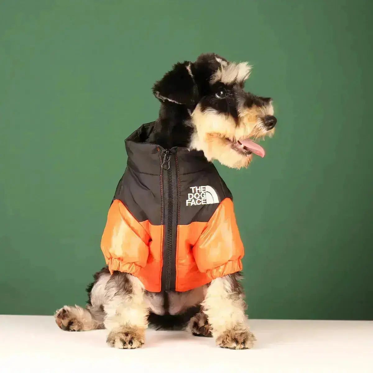 Die Hundegesicht Jacke - Typ A