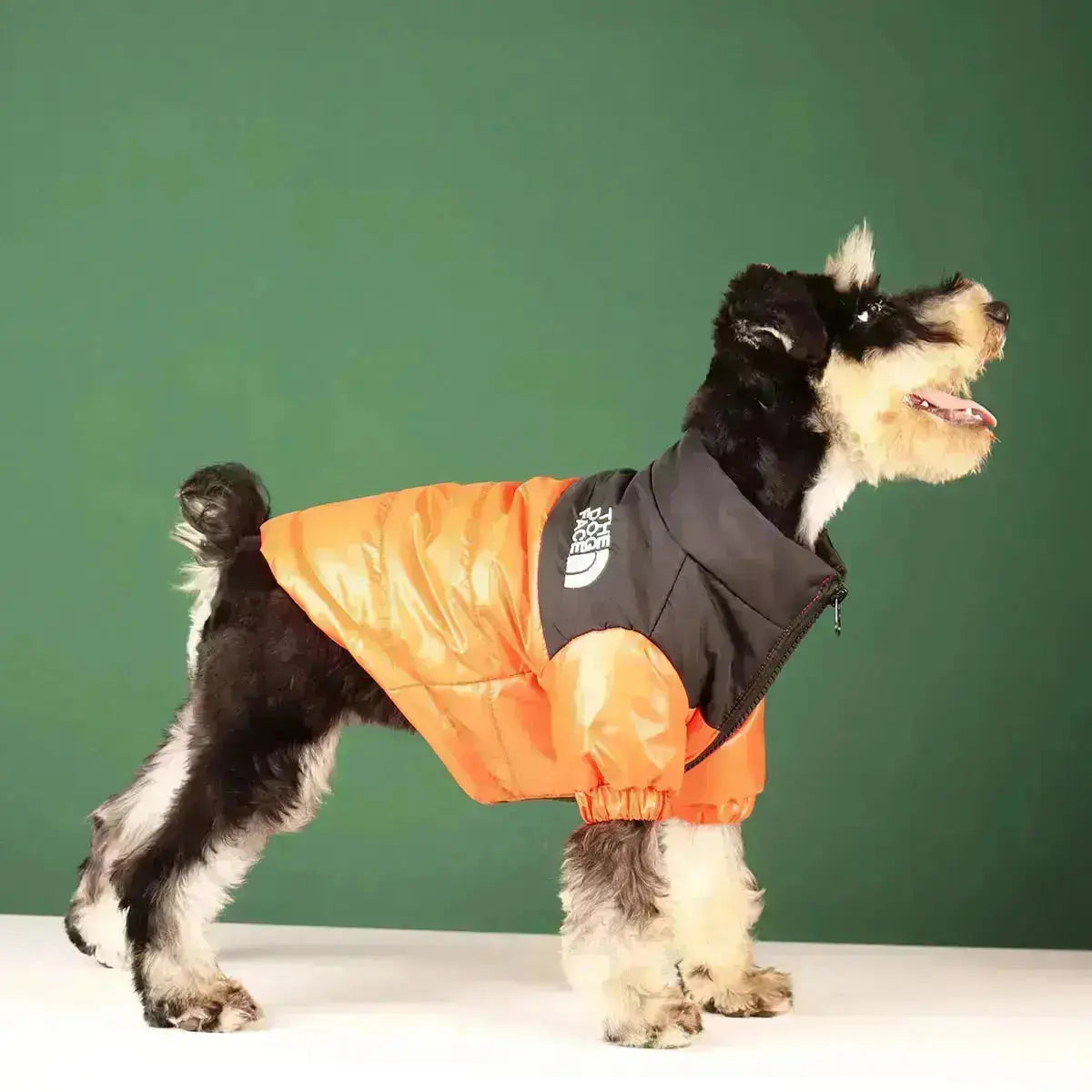 Die Hundegesicht Jacke - Typ A