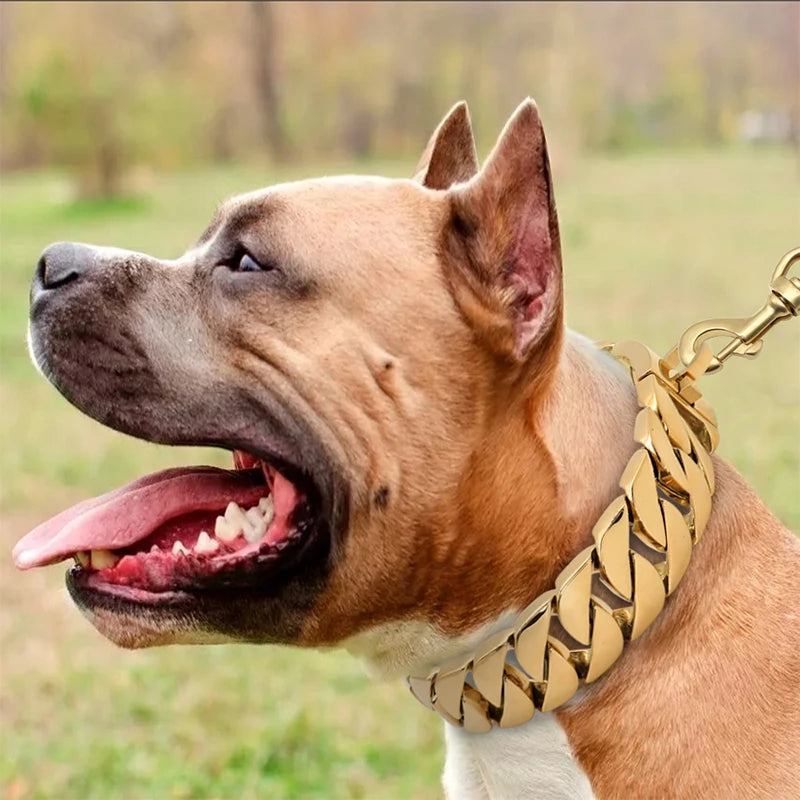 Brehn | KrachtNeck Metall Hundehalsband – Robustes Edelstahl Halsband für große Hunde