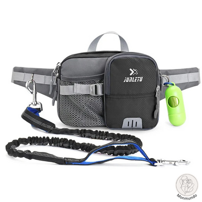 Hunde-Leine Hüfttasche Set | Brehn