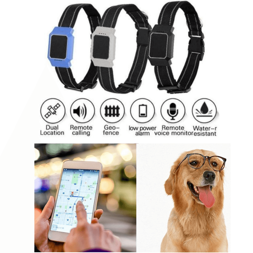 Brehn | Mini GPS Hunde Tracker
