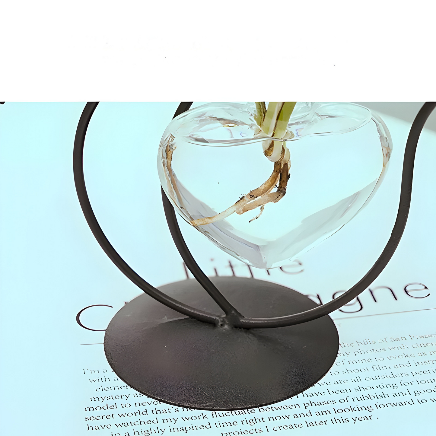 AquaPurr Vase - Hydroponische Glas Herzvase mit katzenförmigem Halter | Brehn
