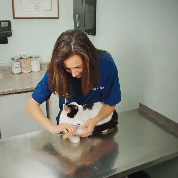 MAX - Bester Hundekratzer mit Quick-Sensoren | Sicher & Ergonomisch | Brehn
