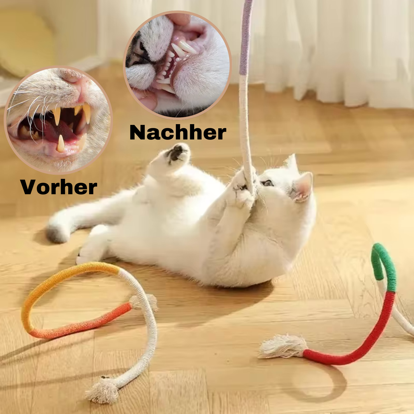 Zahnpflege-Spielzeug für Katzen | Brehn