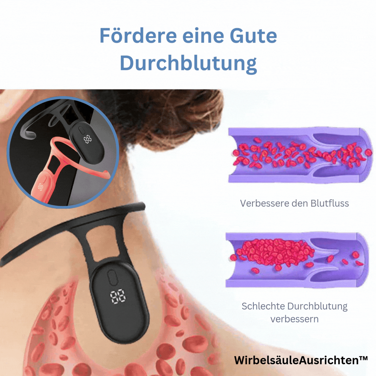 Brehn | SpineAlign™ Wirbelsäulen-Wellness-Schutz