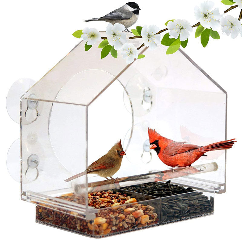 Smart Bird Feeder mit Live-Kamera | Brehn