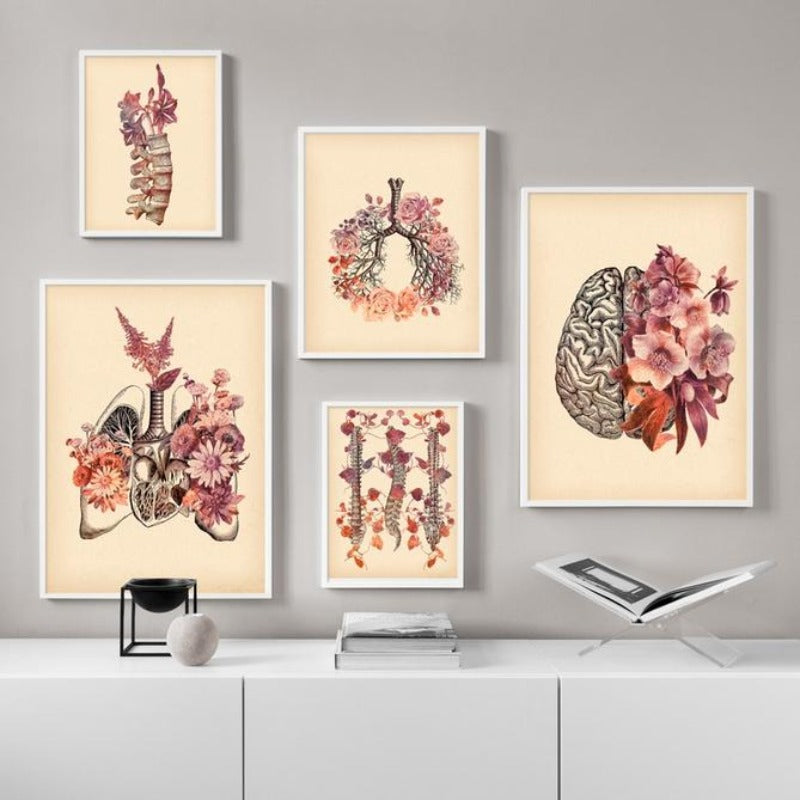 Menschliche Anatomie - Leinwand Wandkunst Gemälde