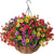 EterniBloom — Strahling flowers magnificence that never fades and enchants your home | Brehn