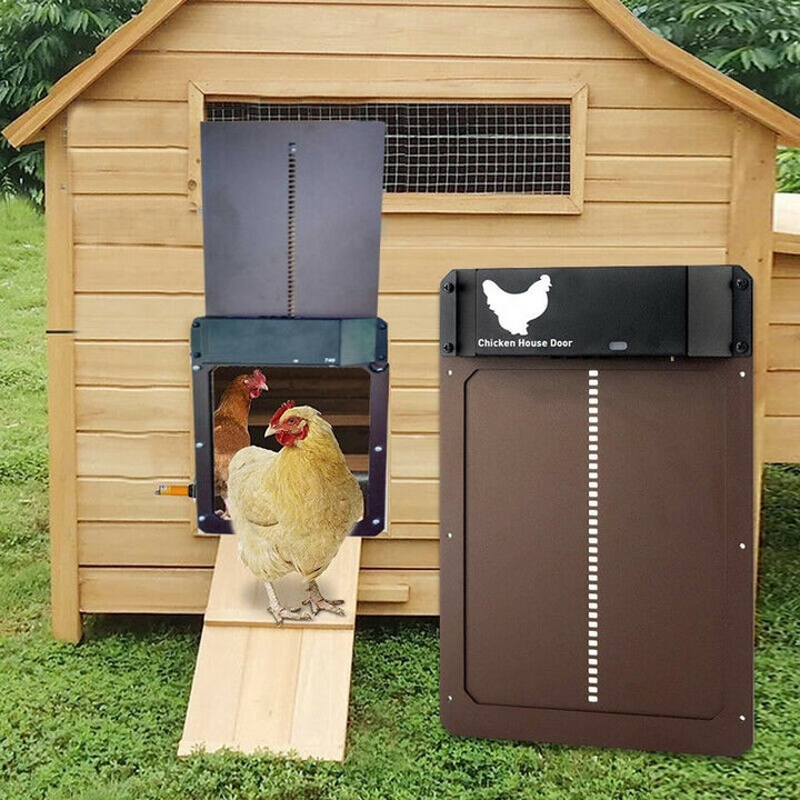 Coop-Wache | Automatische Hühnertür | Brehn