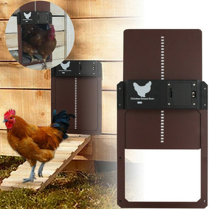 Poultry PRO+ | Automatische Hühnerklappe