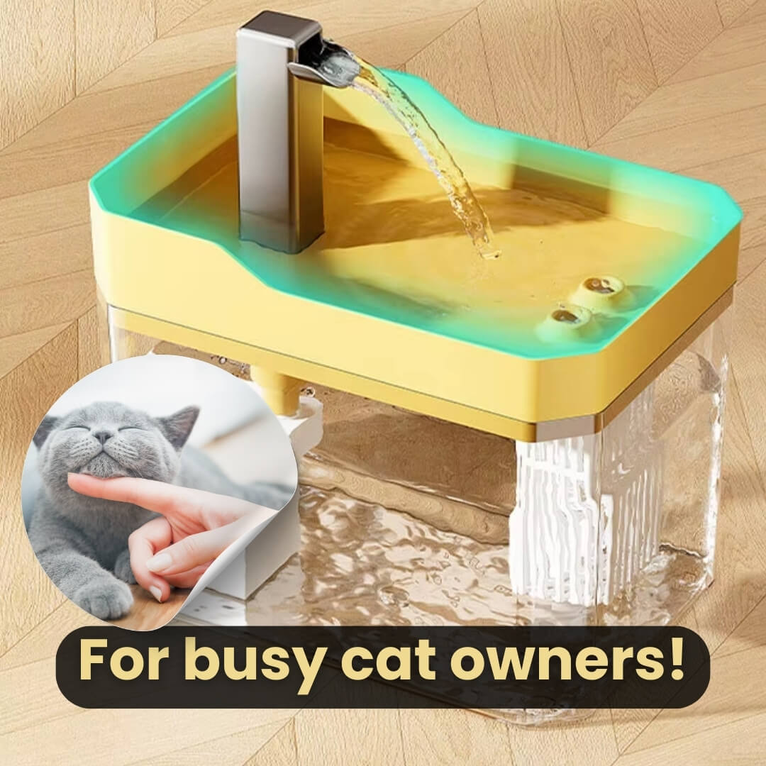 Katzen-Trinkbrunnen 360° Sensor 1,5 L leise | Brehn