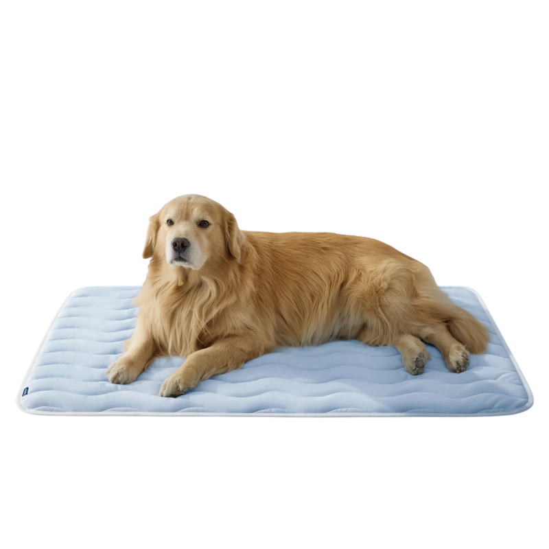 Extra Large Kühlende Hundematte Pad | Brehn