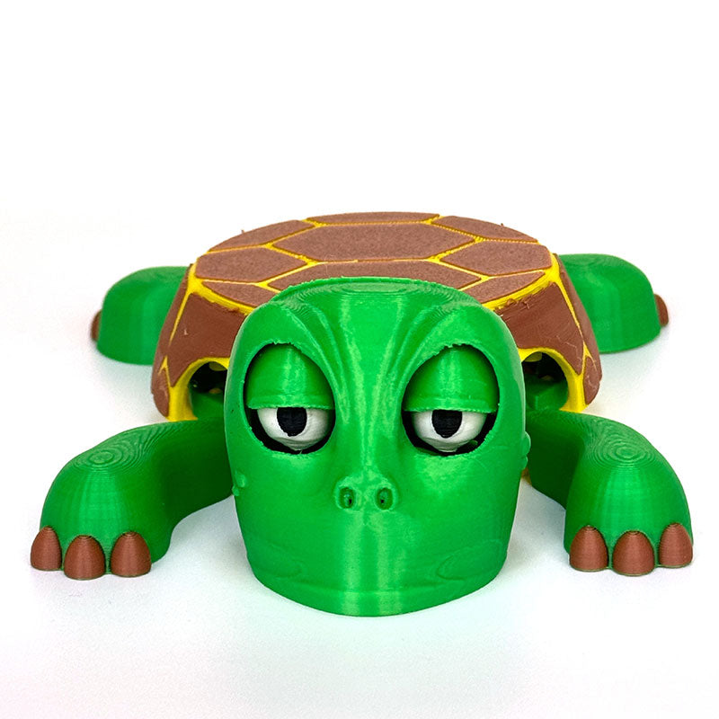 Brehn | Kreative Schildkrötenuntersetzer