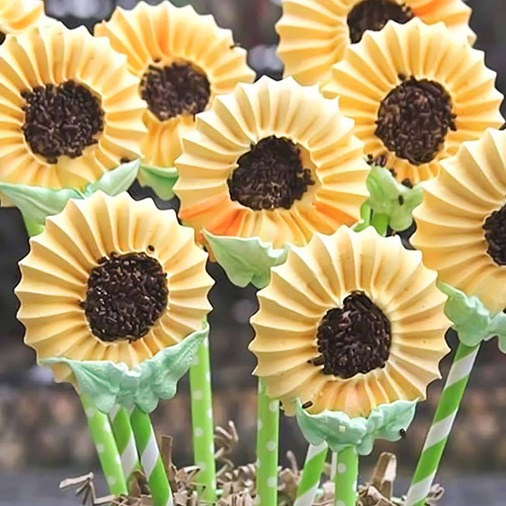 Große Spritzbeutel Tülle | Brehn