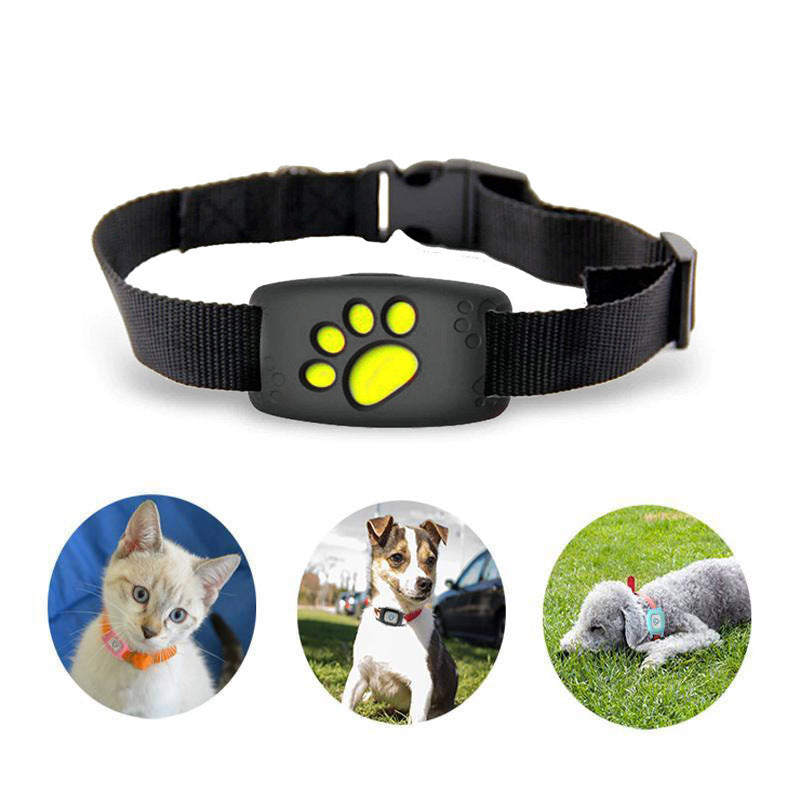 Brehn | Schlankes GPS Katzenhalsband