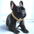 BlingPaws • Hund Goldkette Halsband