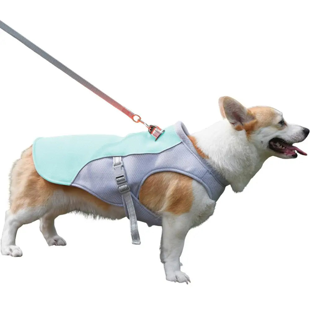 Hundekühlweste für Outdoor-Aktivitäten | Brehn