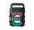 SoundPulse Wireless Lautsprecher – Bluetooth Lautsprecher mit FM, USB & Lichtshow | Brehn