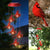 Brehn | CARDINAL Solar-Windspiel-Licht