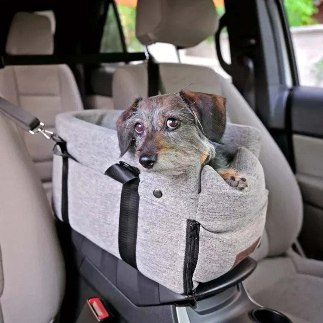 Brehn | Auto-Hundesitz PetCruza | Sicher & Gepolstert | Für kleine Hunde bis 11 kg | Einfach zu installieren